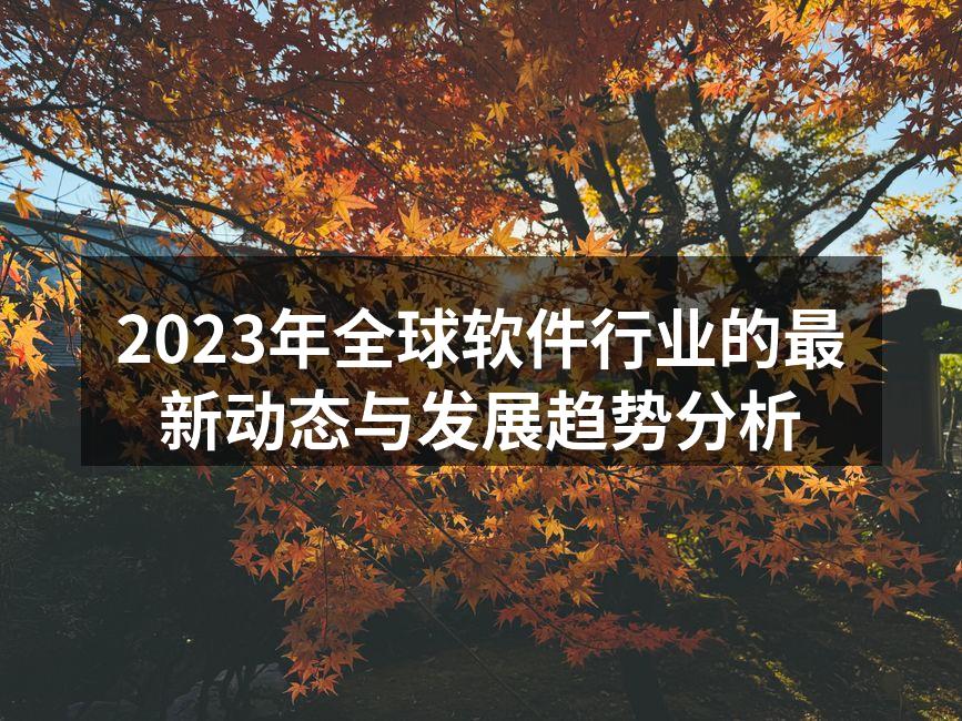 2023年全球软件行业的最新动态与发展趋势分析